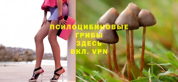 спиды Вязники