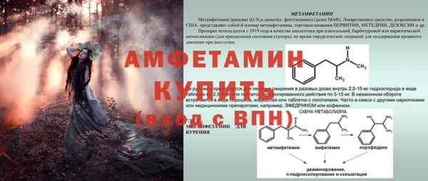 спиды Вязники